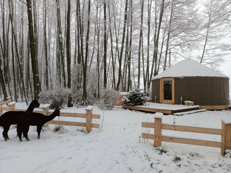 Forglamp Hotell Bydgoszcz Eksteriør bilde